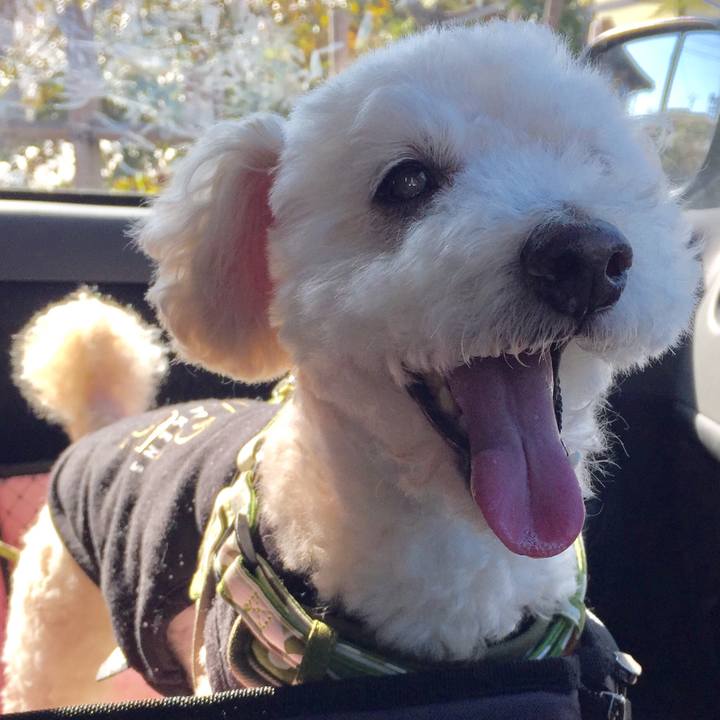 1e2524f4 e0a0 4d90 8732 94f406b7d206 1520384249356