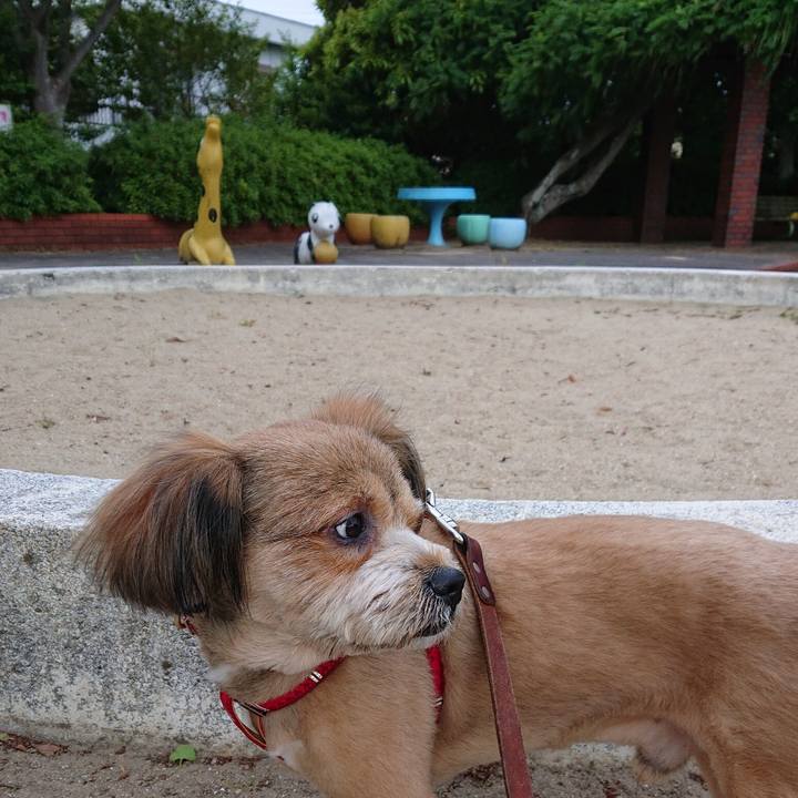 1e252e2f ef1f 4f6d 823d 6421141fbc3c 1558259649158