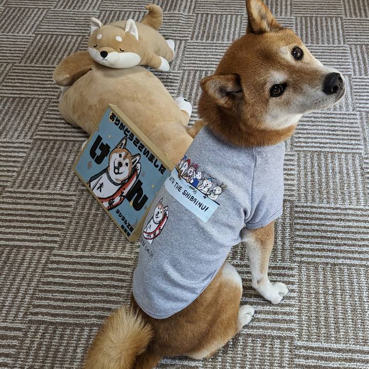 1e255540 375a 4520 ae22 97d3b587aed8 1718338649369