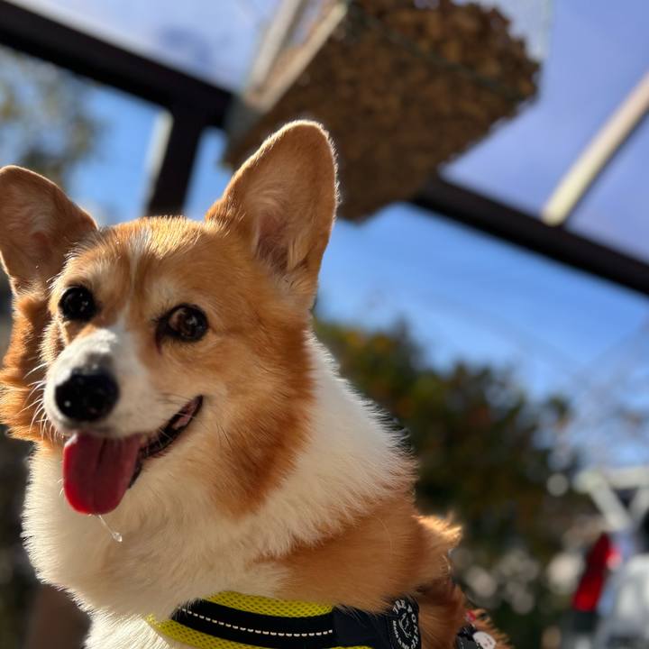 1e256e28 d8ed 4705 b455 b7ef64492bed 1764905717206