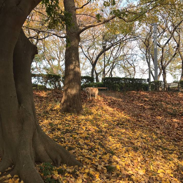 1e25c574 fc0c 46db a9ad 6408191af1c5 1606743338112