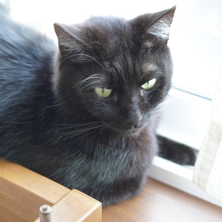 1e25da41 b1f6 4409 bc3c 32ba7985ca13 1635085110421