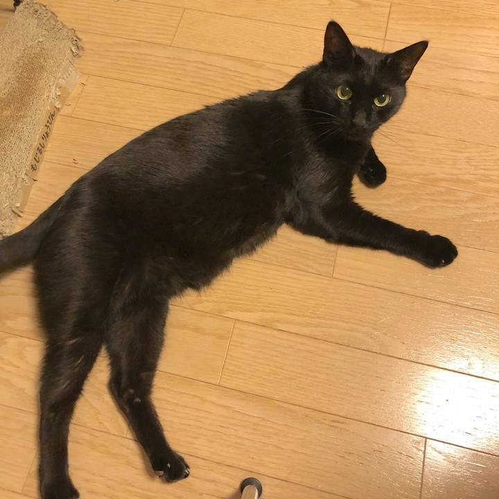 1e2611fa 016b 4904 804b 71620bdf86fb 1523188503870