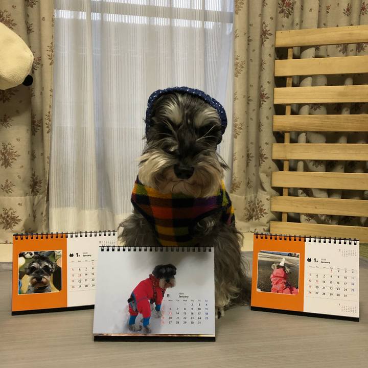 1e262ffb a904 4d87 adce a56ab32f4c45 1578281751659