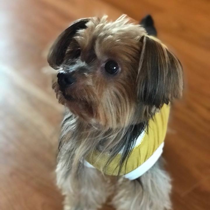 1e264197 9a88 471d 8f19 3413867a0f21 1512972236754