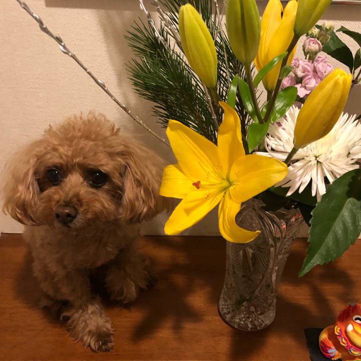 1e265e77 6c68 4856 9af9 fcfd6cba6752 1546350020696