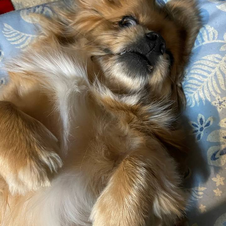 1e266249 0374 4d45 936a b1405e1e0018 1613078795966