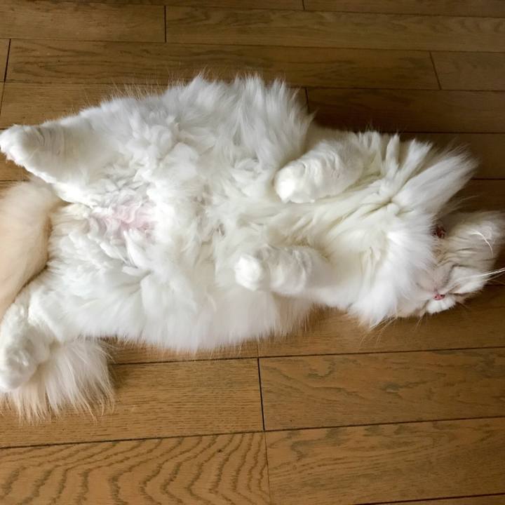 1e267ee5 aa07 42f5 aedb 83156560bc1f 1514682914176