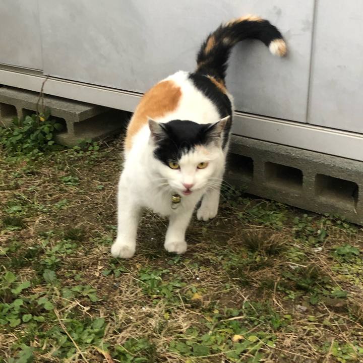 1e26aa7c 0d0e 4fc9 930a b576aa800e45 1613559774031