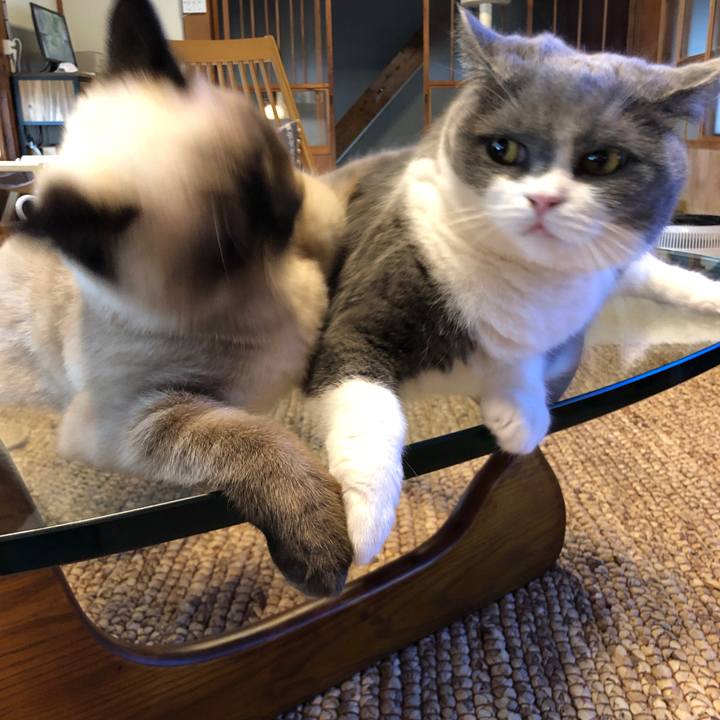 1e26acd3 dc87 4862 9d2c 2a19536c1fad 1596415375733