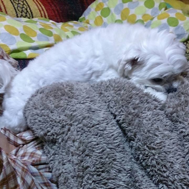 1e26bc34 b098 481e aaec f8e5005938fa 1523965567481