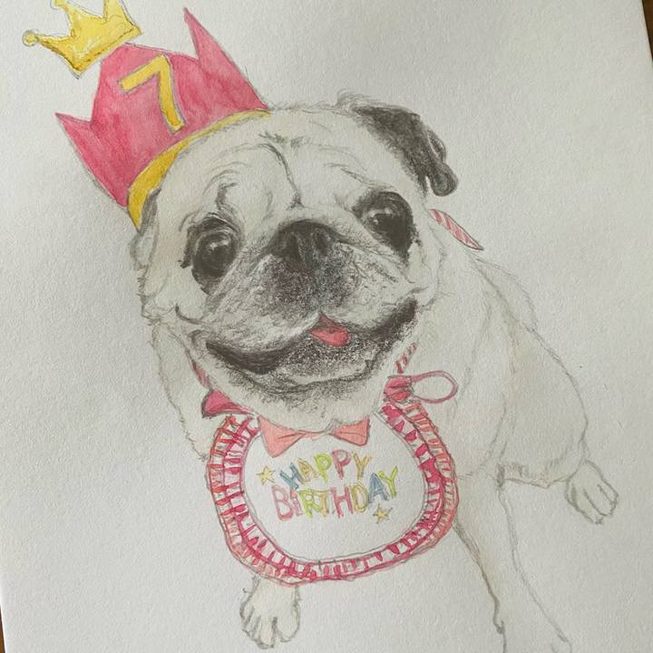 1e26cdf3 49c8 46aa a722 078b54ebb599 1688195483803