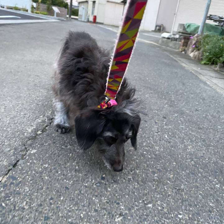 1e2708e6 fd3c 4915 ad37 1a1796a89303 1600038223987