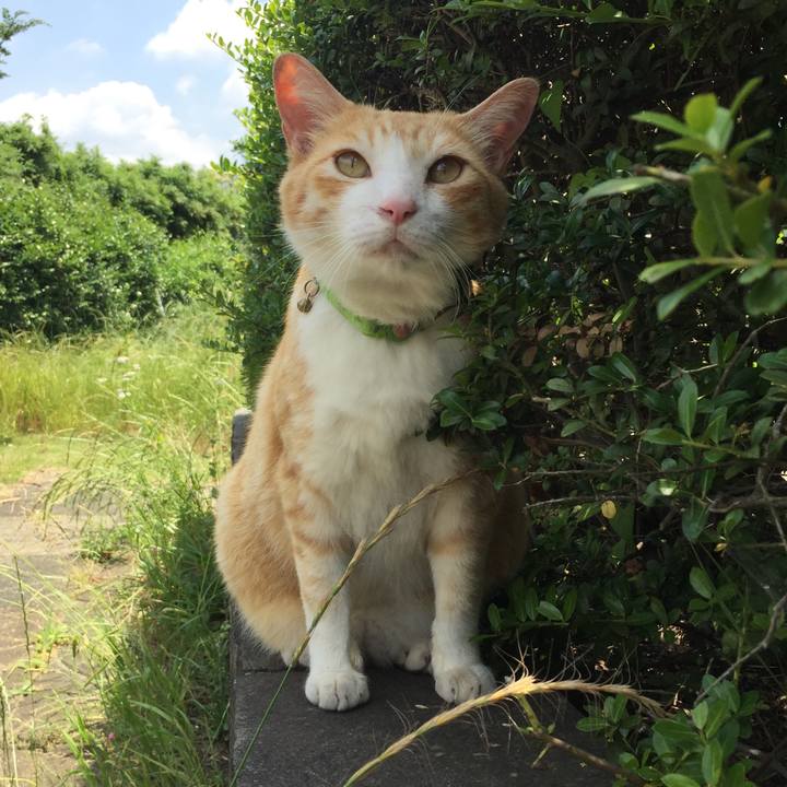 1e273d9c fa45 42d1 80c2 0d93038c8563 1527922305539