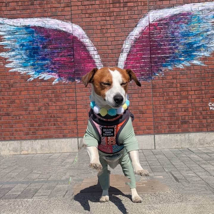 1e275916 6c03 44b6 8a56 194f09a8dbc8 1740790605444