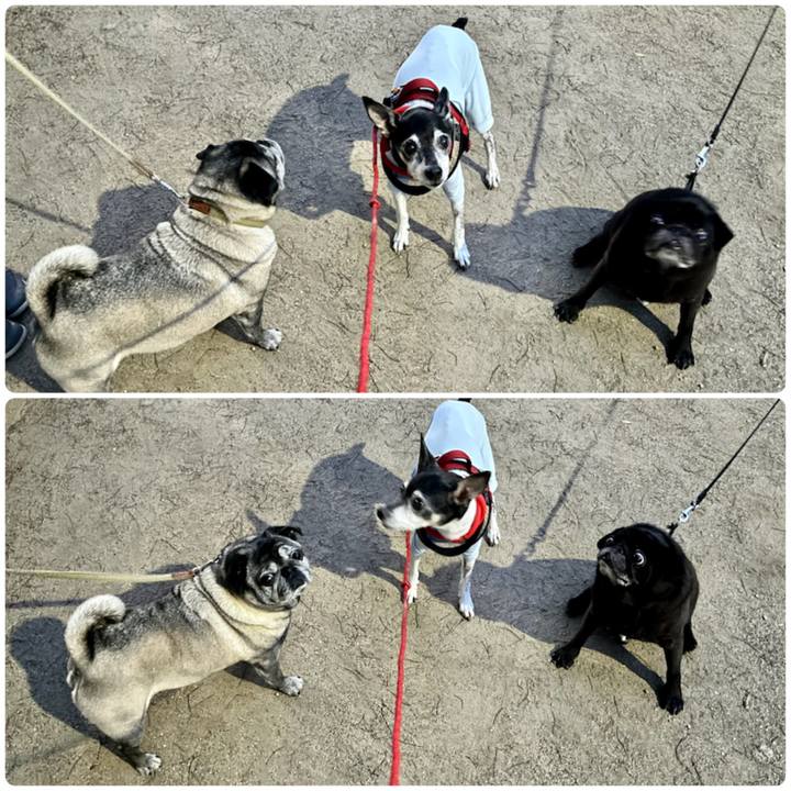 1e27b3d1 b726 40ee 8a2e 255185875095 1655724804893