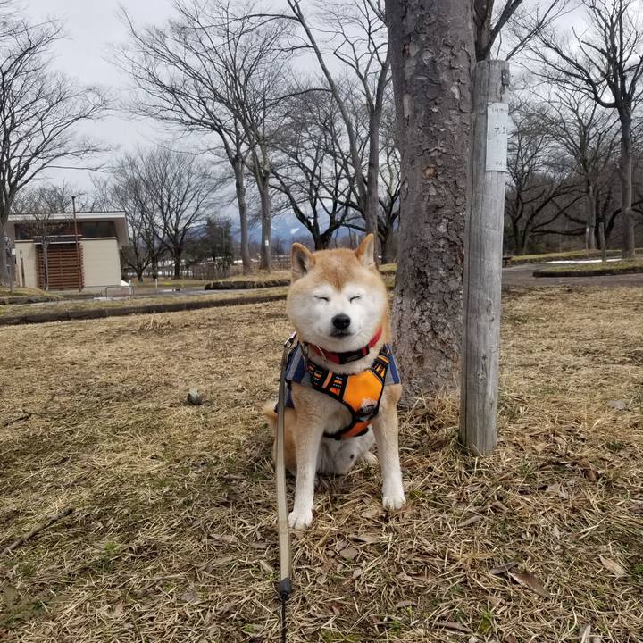 1e27b935 51cd 4891 8942 1b67b091d6fb 1710906687337