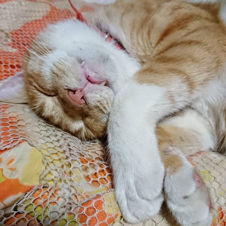 1e27bdb4 38d8 45c1 a3ff 4854d1cf71c6 1570538390303