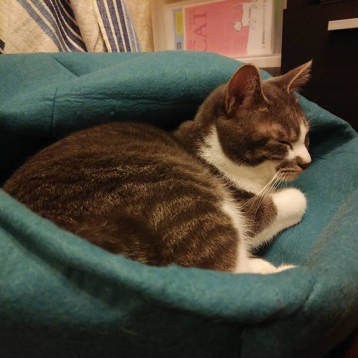 1e27e8f5 f61c 43bc 961e 4124f1d77fcf 1583337552819