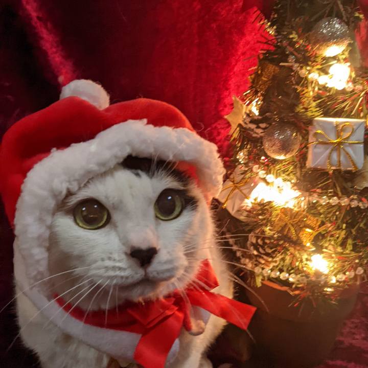 1e27f63c 3bc3 488a a220 a8c8288e1103 1763168040025