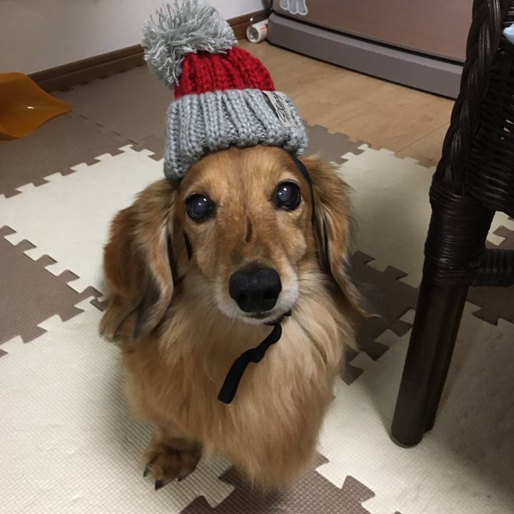 1e2807f8 1813 4e59 805f 44938738edde 1607082915499