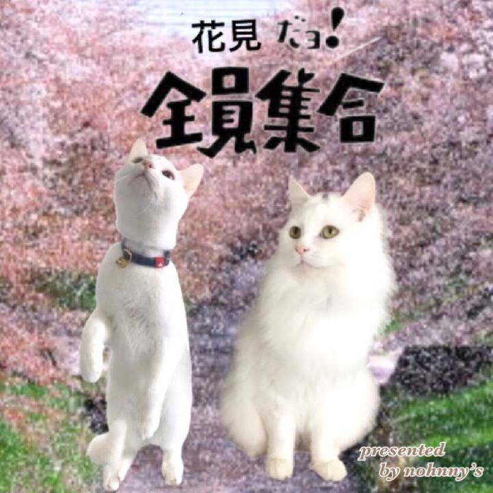 1e281562 49b0 4ec7 995f eeb612df7424 1585998041285