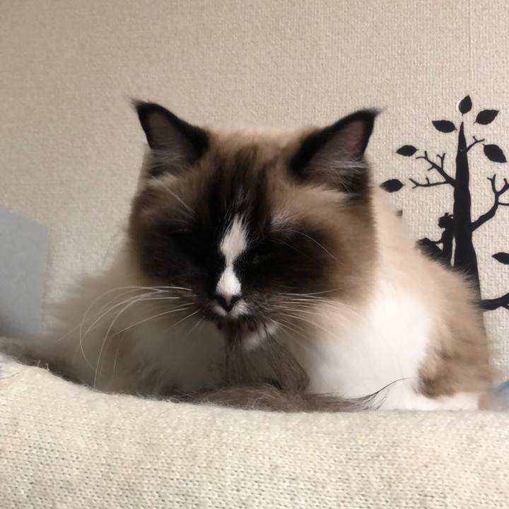 1e28324a fa80 4a07 9b0c 10627aba2b84 1549232889947