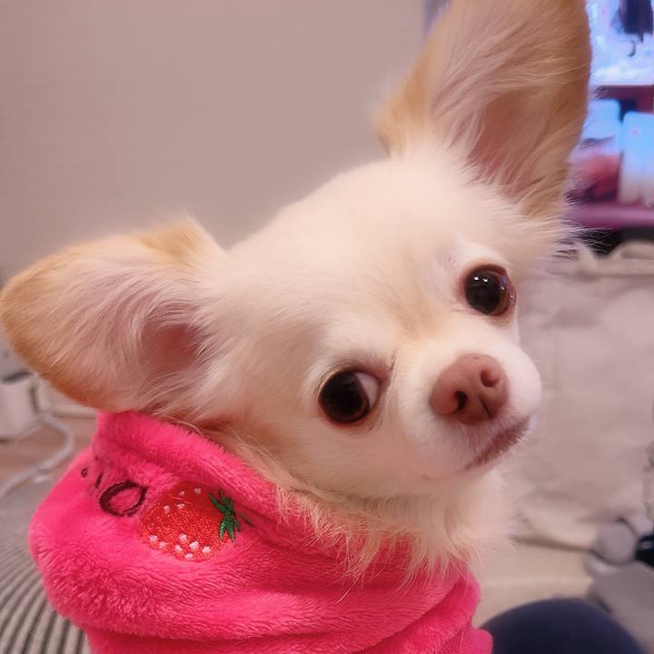 1e2872ed 082a 4515 ab9b a30a9256c54c 1732196536271