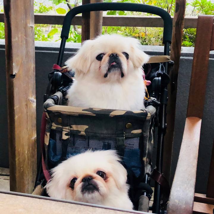 1e2873c7 1a8e 4f64 92f4 9d2a2a0a308e 1571633882818