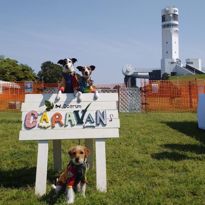 1e2882d5 6e62 4413 b6fb 9694962f85d3 1745714554029