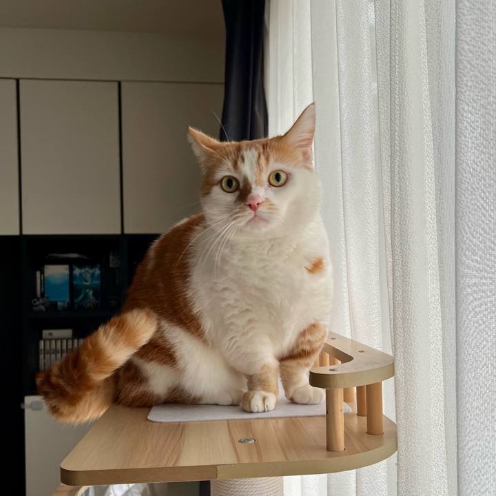 1e28ab85 4897 44b2 b2f5 8a380052096d 1760067762897