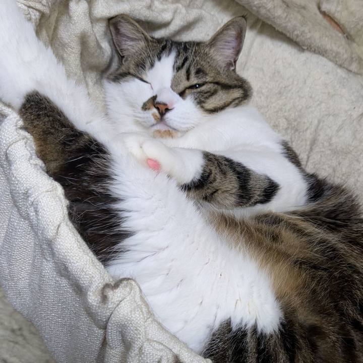 1e28c955 3526 4369 8dcd 2ad0f32646cc 1774696347345