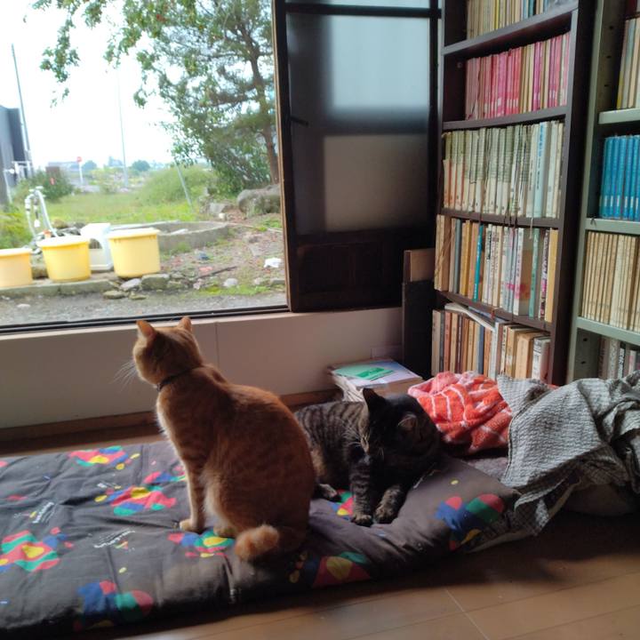 1e28d06c 6387 4501 a8f9 80903dd04b8a 1664838727730