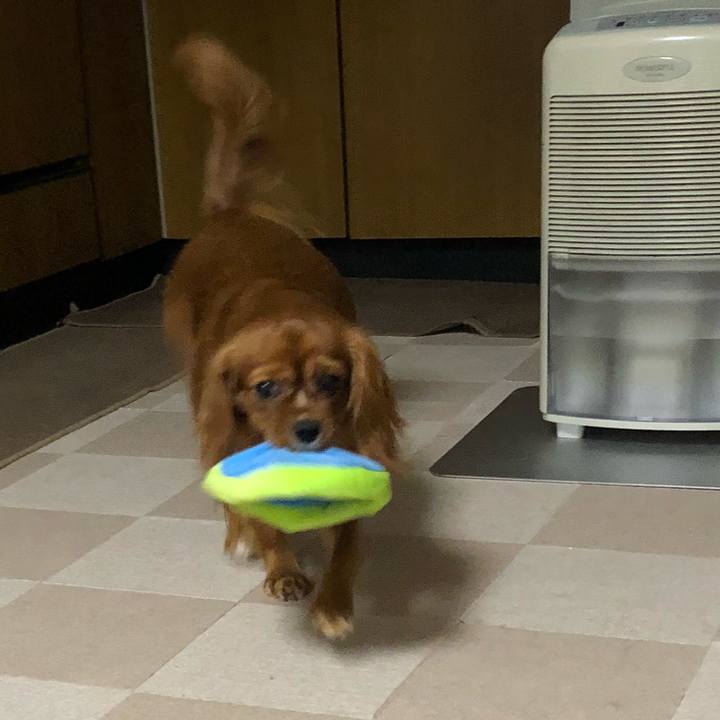 1e28f8bd a53c 4a1b af0e 5bcf81a588a3 1530764300054