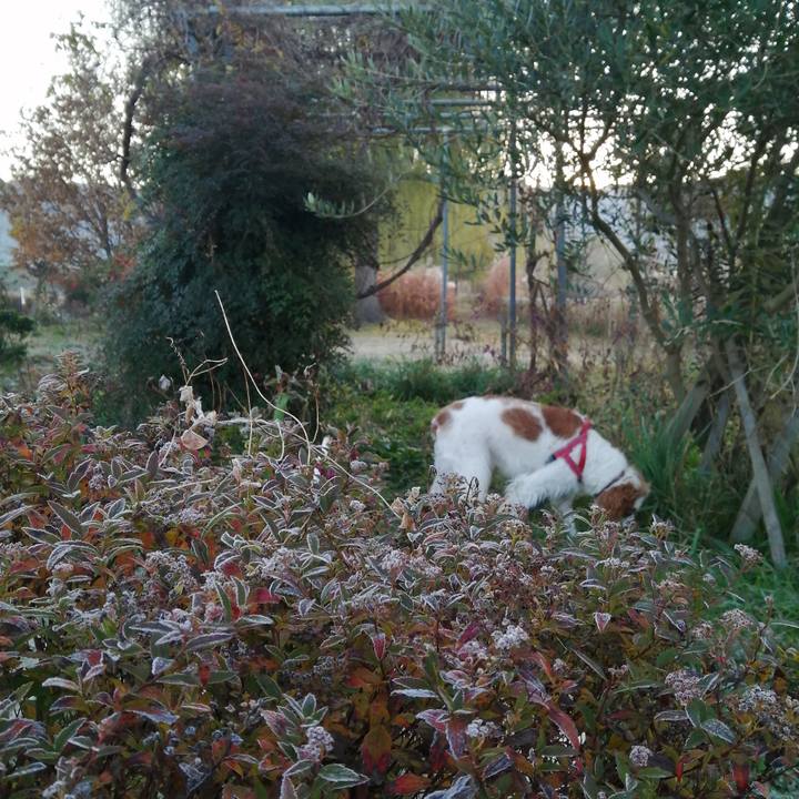 1e29261b da4b 4de6 88e3 2ed908f62f8a 1576196171748