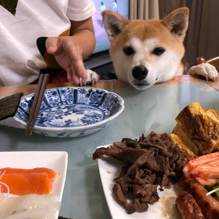 1e2931b7 3f43 47b8 9547 5749e218a919 1534552591889