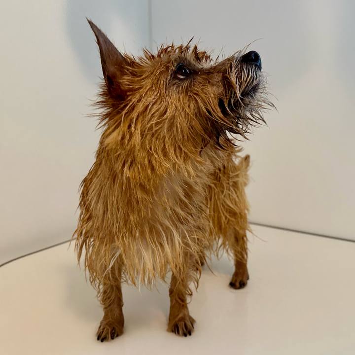 1e2941a9 9a9e 4bae 9825 af391e1526a0 1736054100260