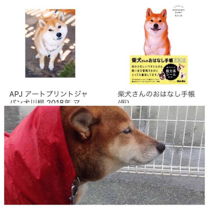 1e294c8c 6563 42b7 80bd b44526be8dd6 1508398780244