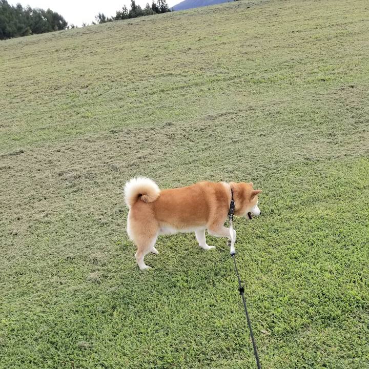 1e2995f6 b73f 4b8e 8676 89a61291d0ef 1632466815930