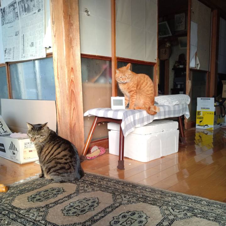 1e2a1c48 ab12 4a2b 8cdb b19b43e2a82b 1676070627828