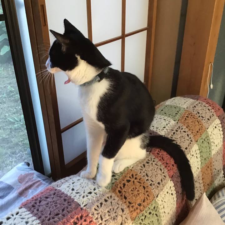 1e2a2948 85ea 46fa b3fd eec6454ed516 1634289802335