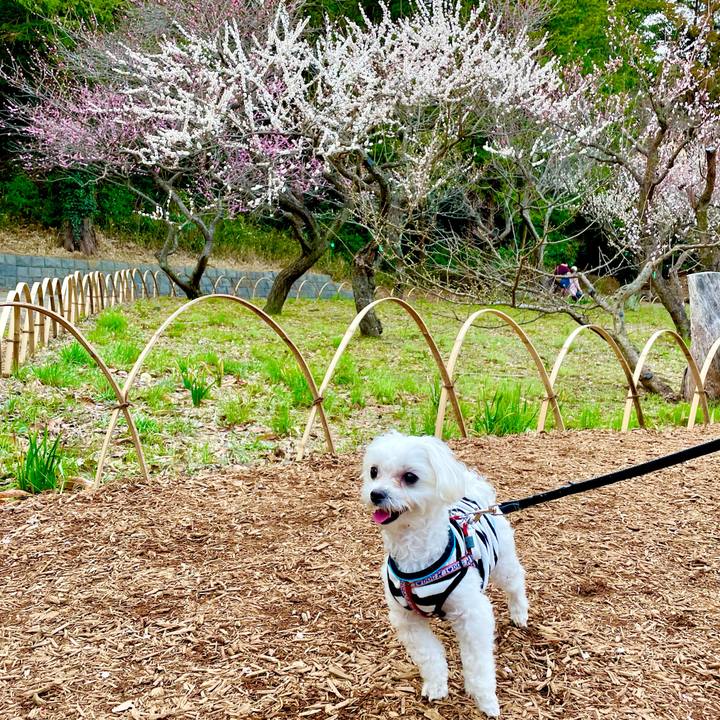 1e2a4263 dea3 4488 8b51 a4fc563cc2aa 1615023505889