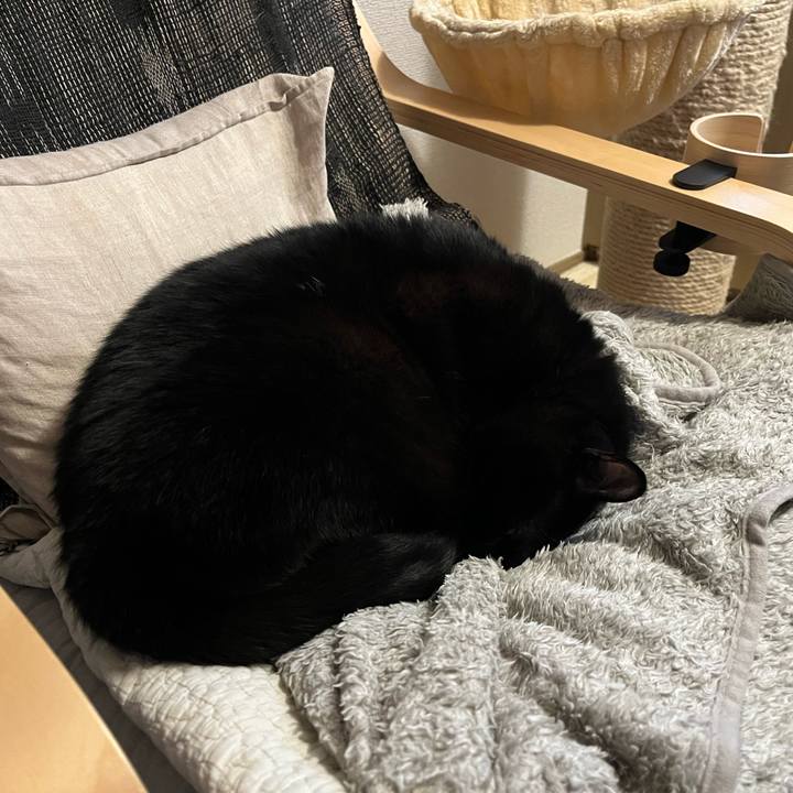 1e2aa521 5bb6 4fe8 98e9 e80e42694707 1770799715325