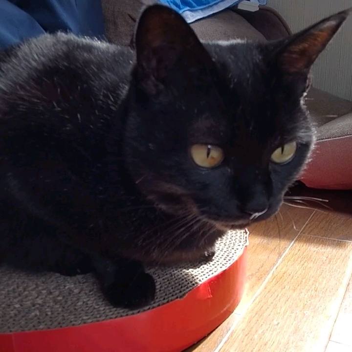 1e2ac119 f83e 43a9 86f8 853dbf90bb21 1677901064288