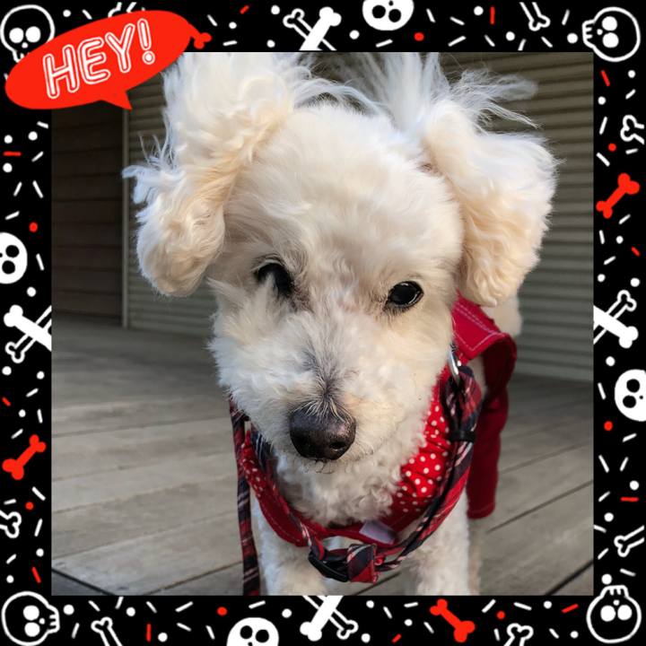 1e2ae76f c49e 4fda 99d3 28574ddfde73 1525275780776