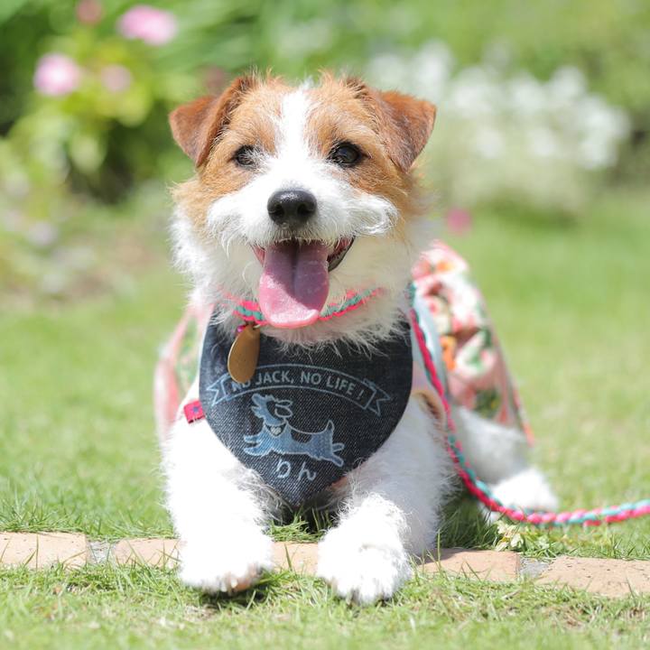 1e2ae91d 11f2 4b09 905f 878abb714dc8 1564301268336