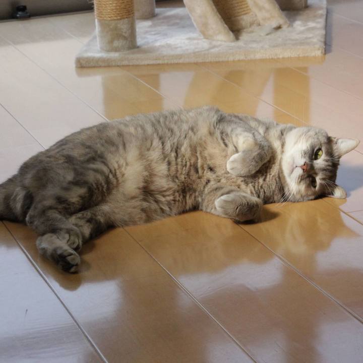 1e2aea94 0127 452a baa5 8571493bcb10 1605534520998