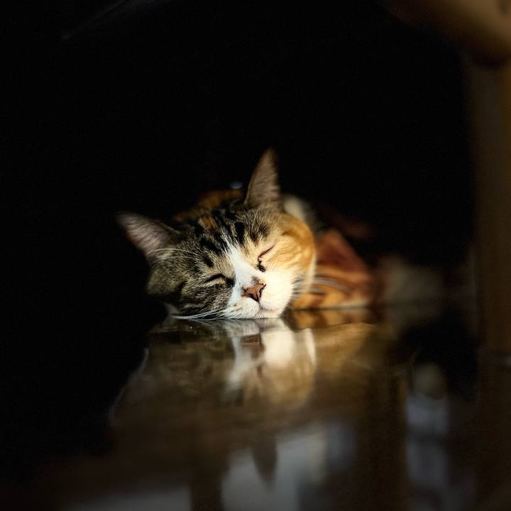 1e2af678 8a9f 443d a307 5555dbdcab6b 1769255220705