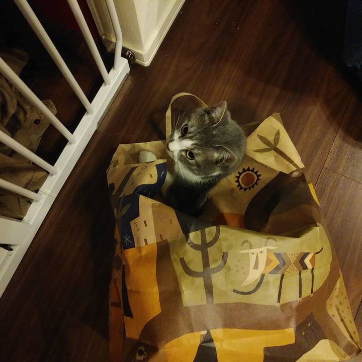 1e2b17c0 53d3 41d1 919b 947e987edba8 1582554839262