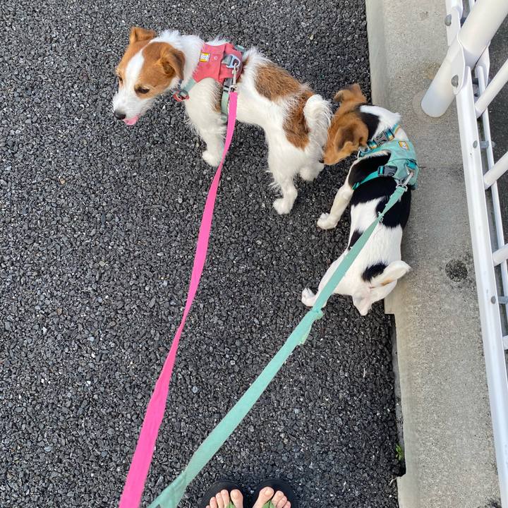 1e2b1ea2 894e 4edb 8250 0f6ab8a071da 1749682538769